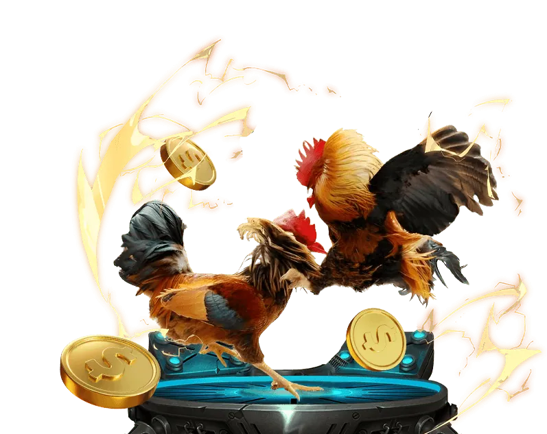 Ưu đãi độc quyền đá gà SV388